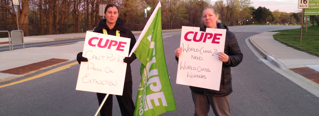 CUPE 1600 reaches tentative agreement with Toronto Zoo