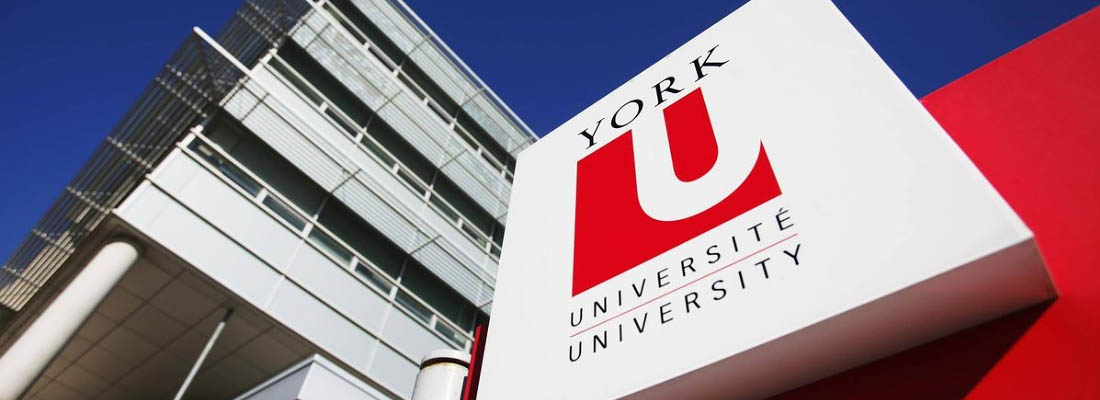 Workers with CUPE 3903 accept York University offer, head back to work Monday