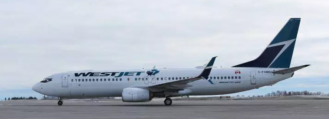 3,000 WestJet cabin crew officially unionized, CUPE says